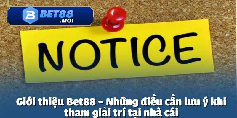 Giới thiệu Bet88 về lưu ý một số điểm quan trọng khi tham gia